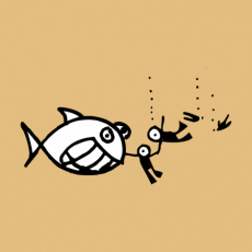 Potisk 369 - WHITE SHARK