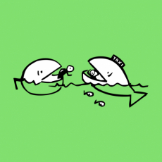 Potisk 385 - FISH TAXI