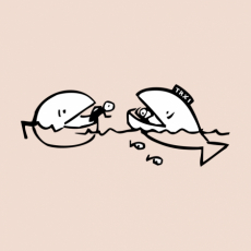 Potisk 385 - FISH TAXI