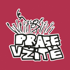 Potisk 510 - PRASE V ZITE