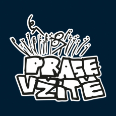 Potisk 510 - PRASE V ZITE
