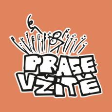 Potisk 510 - PRASE V ZITE