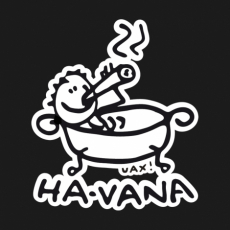 Potisk 1043 - HA-VANA