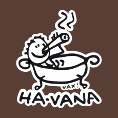 Potisk 1043 - HA-VANA