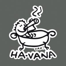 Potisk 1043 - HA-VANA