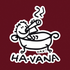 Potisk 1043 - HA-VANA