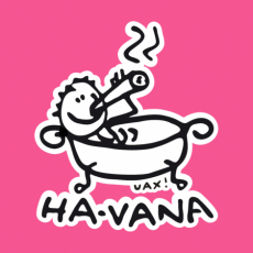 Potisk 1043 - HA-VANA