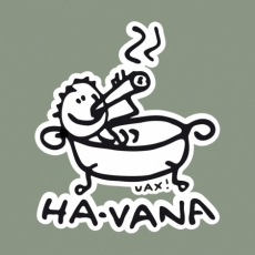 Potisk 1043 - HA-VANA