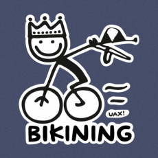 Design 1080 - BIKINING