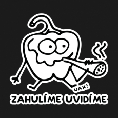 Potisk 1246 - ZHULÍME UVIDÍME