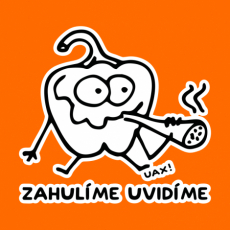Potisk 1246 - ZHULÍME UVIDÍME