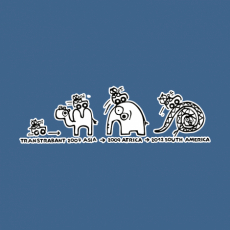 Potisk 5058 - Potisk TRANSTRABANT 5