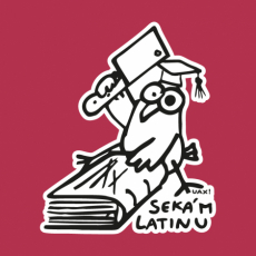 Design 5158 - SEKÁM LATINU
