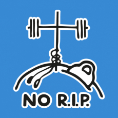 Design 5169 - NO R.I.P
