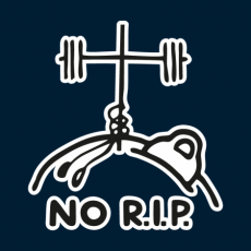 Design 5169 - NO R.I.P