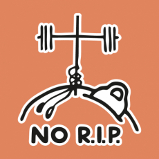 Design 5169 - NO R.I.P