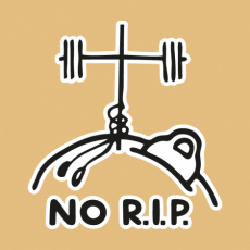 Potisk 5169 - NO R.I.P