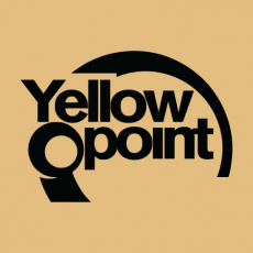 Design 5295 - YELLOW POINT LOGO2
