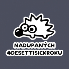 Design 5314 - NADUPANÝCH DESETTISICKROKU