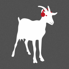 Potisk 5145 - RADIO 1 KOZA