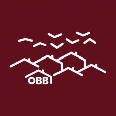 Potisk 5305 - OBB VLAŠTOVKY
