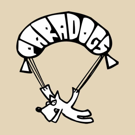 Design 378 - PARADOGS