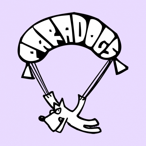 Design 378 - PARADOGS