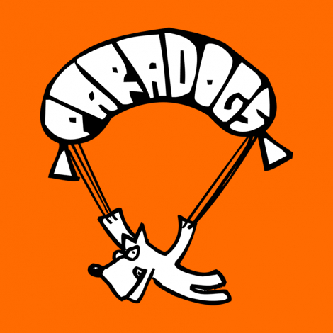 Design 378 - PARADOGS