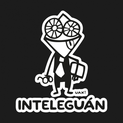Design 547 - INTELEGUAN