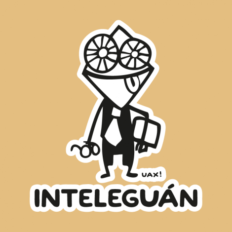 Design 547 - INTELEGUAN