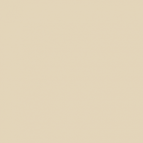 Potisk 999 - BEZ POTISKU