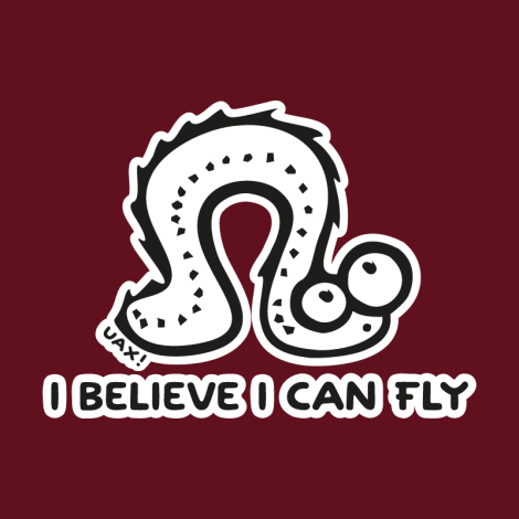 Potisk 1062 - I BELIVE I CAN FLY