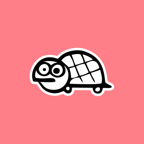 Design 1141 - ŽELVA