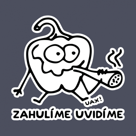 Design 1246 - ZHULÍME UVIDÍME
