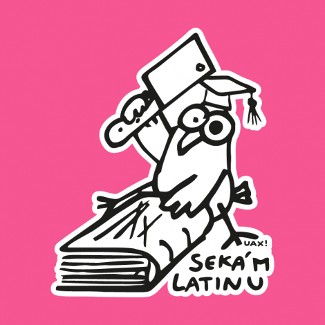 Design 5158 - SEKÁM LATINU