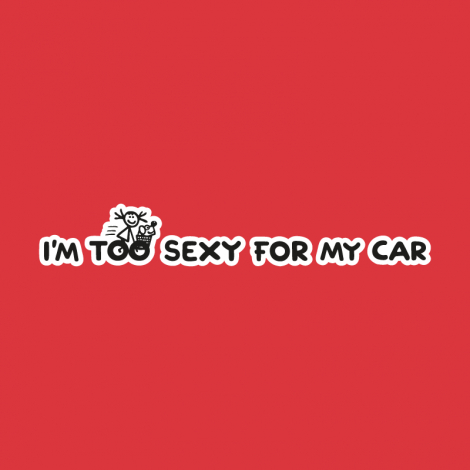 Design 5222 - TOO SEXY FOR MY CAR