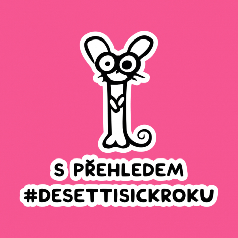 Design 5317 - S PŘEHLEDEM DESETTISICKROKU
