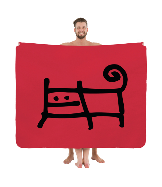 PIKNIK DEKA S POTISKEM