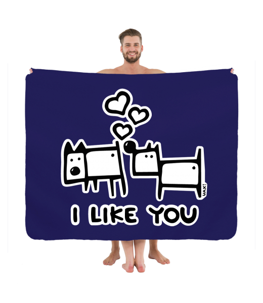 PIKNIK DEKA S POTISKEM