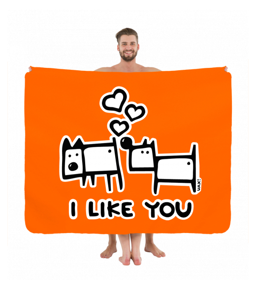 PIKNIK DEKA S POTISKEM