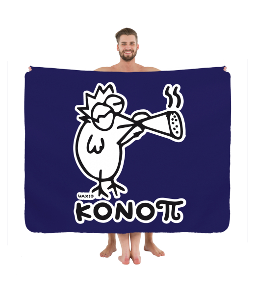 PIKNIK DEKA S POTISKEM