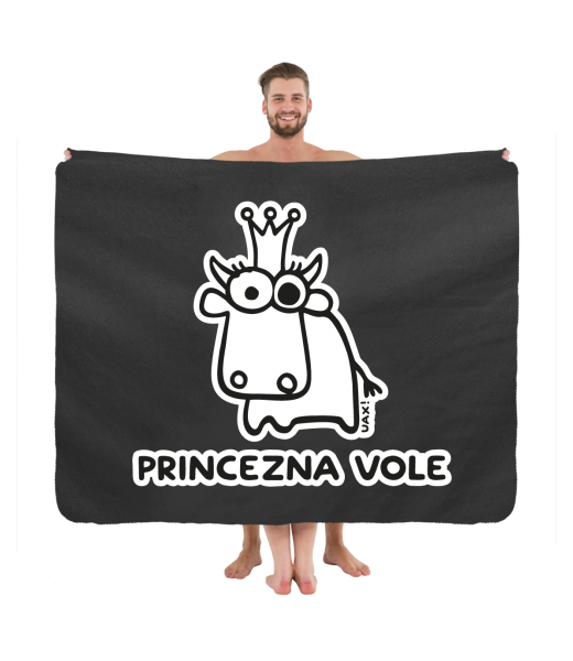 PIKNIK DEKA S POTISKEM