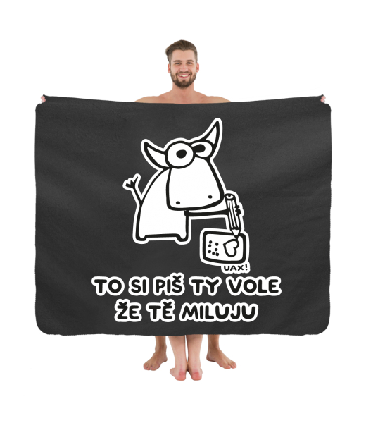 PIKNIK DEKA S POTISKEM