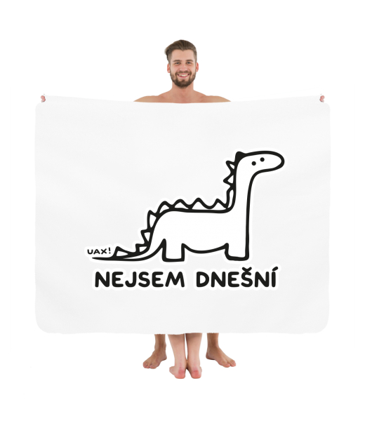 PIKNIK DEKA S POTISKEM