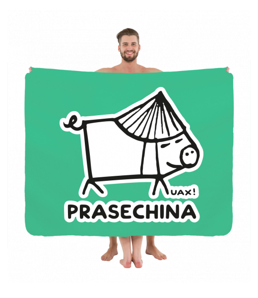 PIKNIK DEKA S POTISKEM