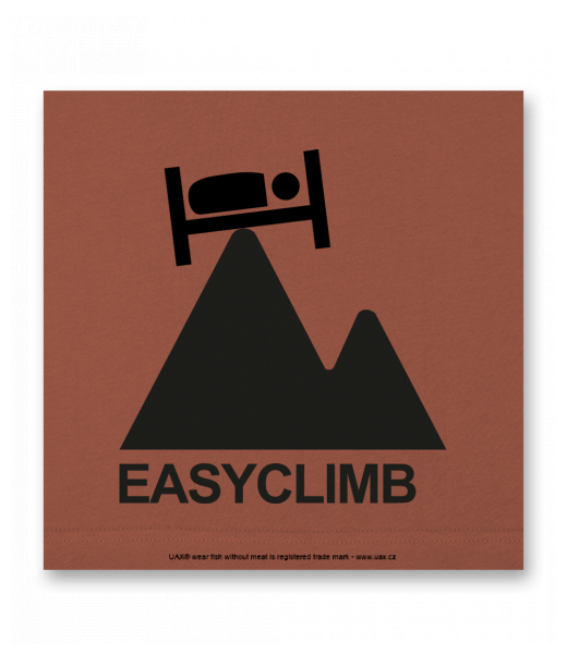 OBRAZ DO INTERIÉRU 110x110cm