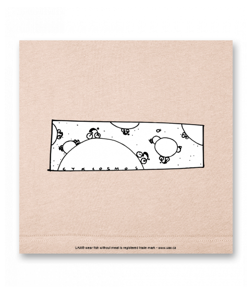 OBRAZ DO INTERIÉRU 110x110cm