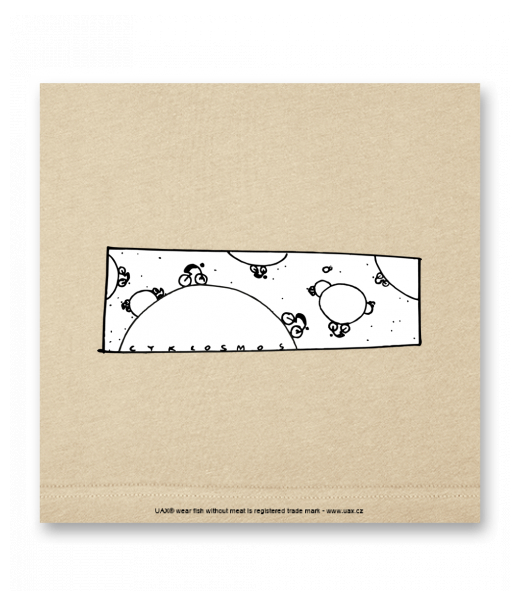 OBRAZ DO INTERIÉRU 110x110cm