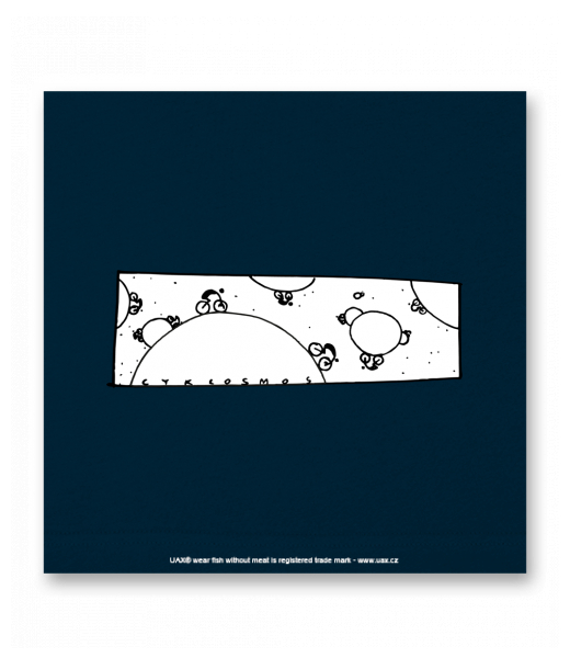 OBRAZ DO INTERIÉRU 110x110cm