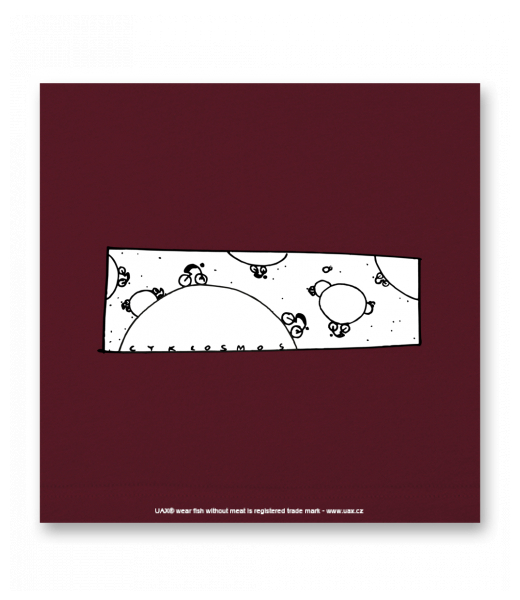 OBRAZ DO INTERIÉRU 110x110cm